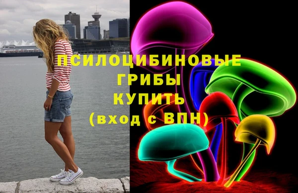 стаф Алексеевка